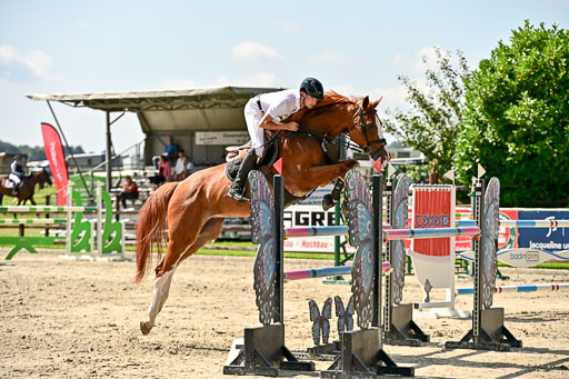 Show Jumping Event Stall Leichle in Schnarup | 15082025 Prf 7 M++  FR_110 