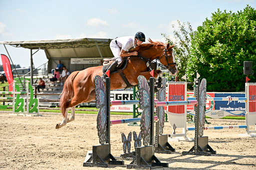 Show Jumping Event Stall Leichle in Schnarup | 15082025 Prf 7 M++  FR_111 