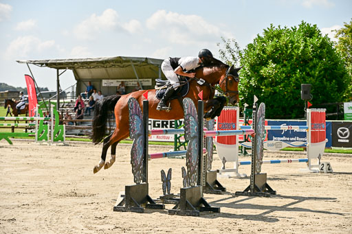 Show Jumping Event Stall Leichle in Schnarup | 15082025 Prf 7 M++  FR_123 