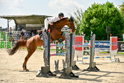 Show Jumping Event Stall Leichle in Schnarup | 15082025 Prf 7 M++  FR_134 