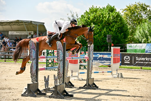 Show Jumping Event Stall Leichle in Schnarup | 15082025 Prf 7 M++  FR_135 
