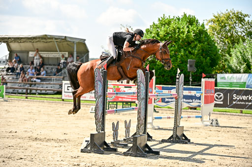Show Jumping Event Stall Leichle in Schnarup | 15082025 Prf 7 M++  FR_150 