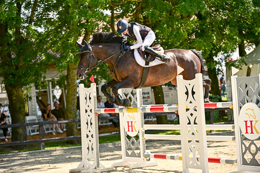 Show Jumping Event Stall Leichle in Schnarup | 15082025 Prf 7 M++  FR_170 