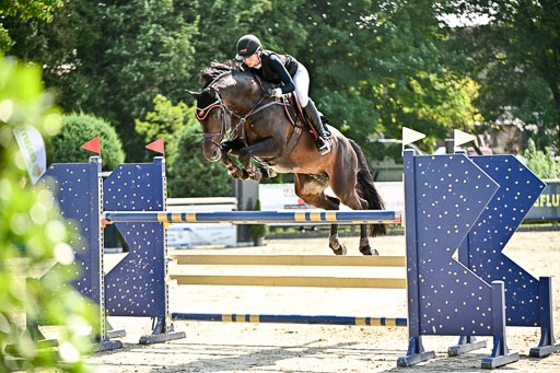 Show Jumping Event Stall Leichle in Schnarup | 15082025 Prf 7 M++  FR_182 