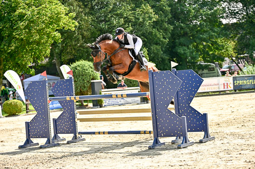 Show Jumping Event Stall Leichle in Schnarup | 15082025 Prf 7 M++  FR_194 