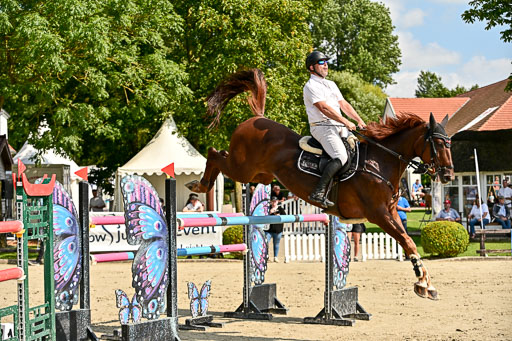 Show Jumping Event Stall Leichle in Schnarup | 15082025 Prf 8 ZP S++_08 