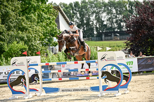 Show Jumping Event Stall Leichle in Schnarup | 15082025 Prf 8 ZP S++_14 