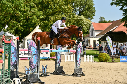Show Jumping Event Stall Leichle in Schnarup | 15082025 Prf 8 ZP S++_17 