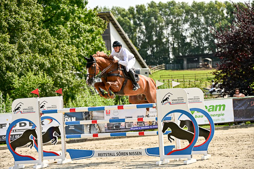 Show Jumping Event Stall Leichle in Schnarup | 15082025 Prf 8 ZP S++_19 