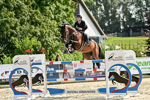 Show Jumping Event Stall Leichle in Schnarup | 15082025 Prf 8 ZP S++_23 