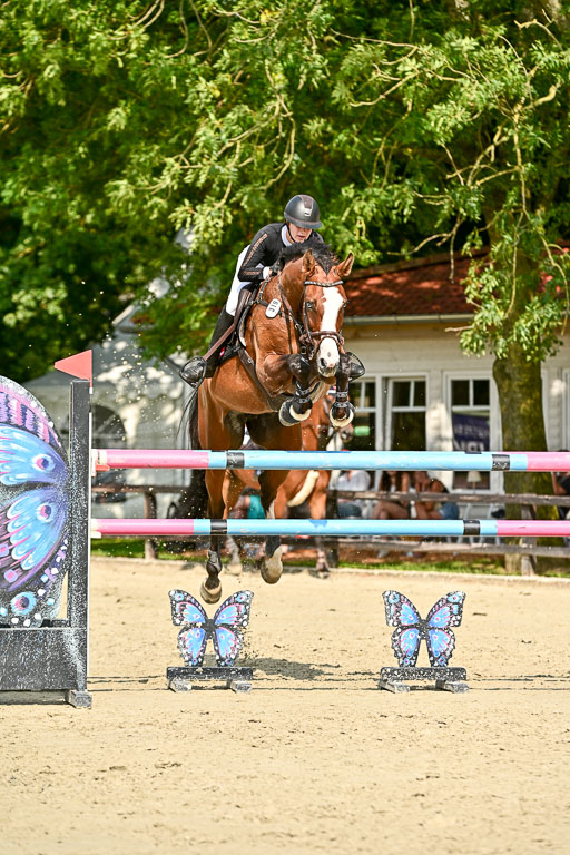 Show Jumping Event Stall Leichle in Schnarup | 15082025 Prf 8 ZP S++_36 