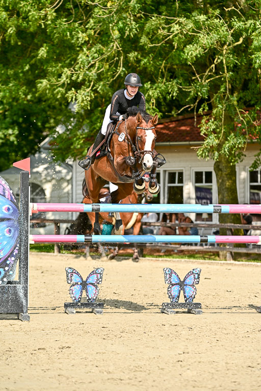 Show Jumping Event Stall Leichle in Schnarup | 15082025 Prf 8 ZP S++_37 
