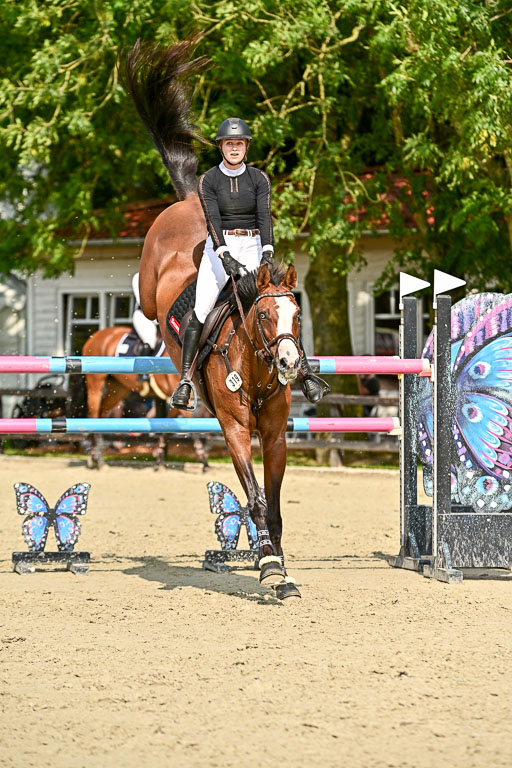 Show Jumping Event Stall Leichle in Schnarup | 15082025 Prf 8 ZP S++_38 