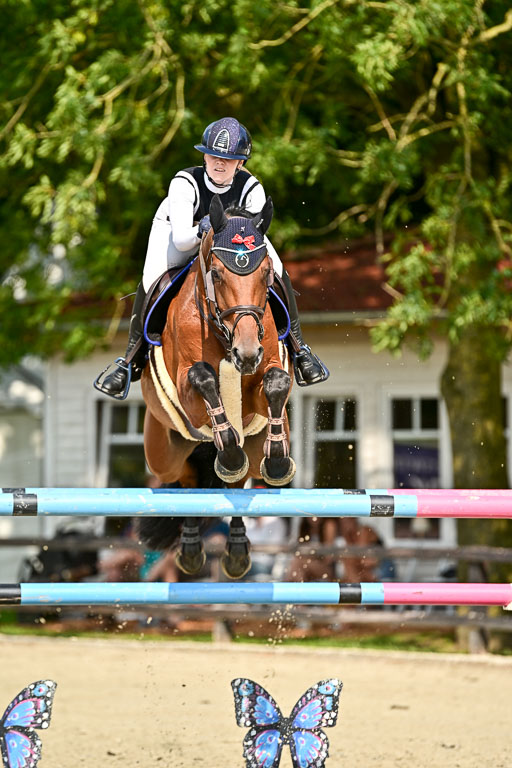 Show Jumping Event Stall Leichle in Schnarup | 15082025 Prf 8 ZP S++_40 