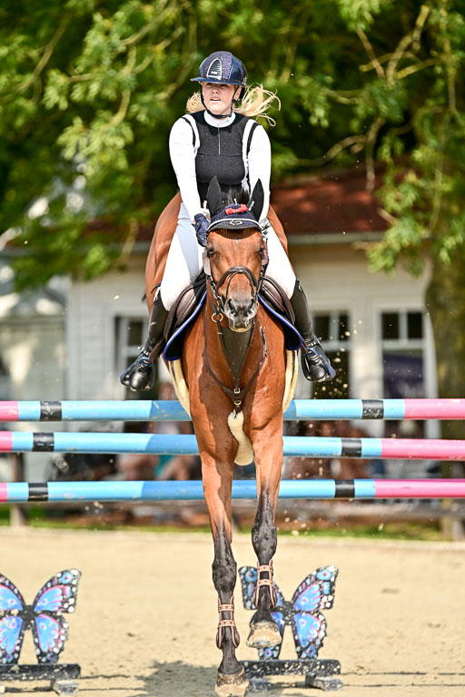 Show Jumping Event Stall Leichle in Schnarup | 15082025 Prf 8 ZP S++_41 