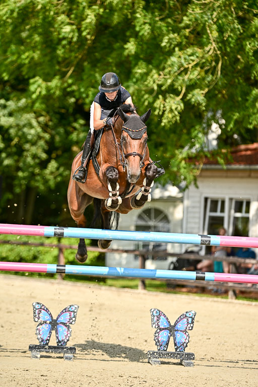 Show Jumping Event Stall Leichle in Schnarup | 15082025 Prf 8 ZP S++_42 