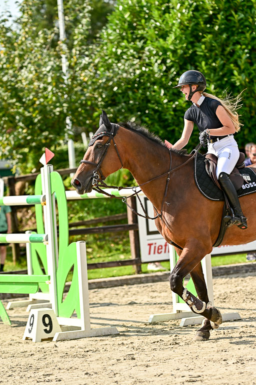 Show Jumping Event Stall Leichle in Schnarup | 15082025 Prf 8 ZP S++_45 