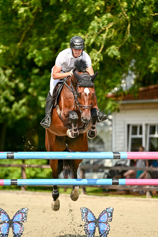 Show Jumping Event Stall Leichle in Schnarup | 15082025 Prf 8 ZP S++_49 