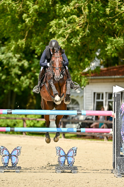Show Jumping Event Stall Leichle in Schnarup | 15082025 Prf 8 ZP S++_50 