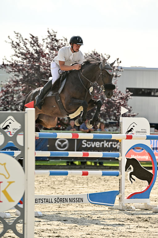 Show Jumping Event Stall Leichle in Schnarup | 15082025 Prf 8 ZP S++_52 