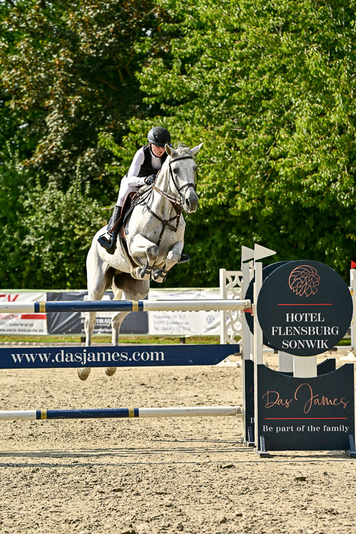 Show Jumping Event Stall Leichle in Schnarup | 15082025 Prf 8 ZP S++_55 