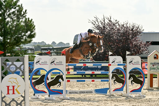 Show Jumping Event Stall Leichle in Schnarup | 15082025 Prf 8 ZP S++_57 