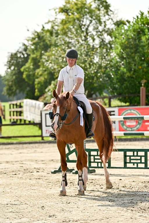 Show Jumping Event Stall Leichle in Schnarup | 15082025 Prf 8 ZP S++_67 