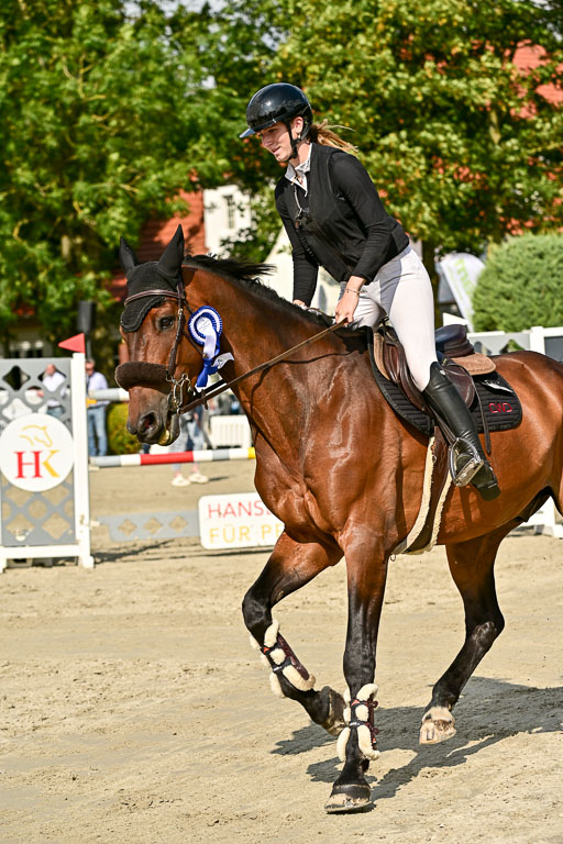 Show Jumping Event Stall Leichle in Schnarup | 15082025 Prf 8 ZP S++_74 