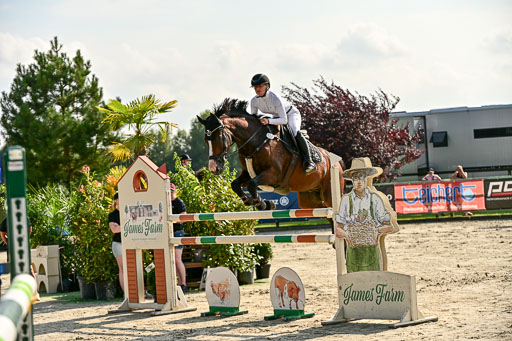 Show Jumping Event Stall Leichle in Schnarup | 15082025 Prf 9 Amateur M++ 