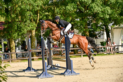 Show Jumping Event Stall Leichle in Schnarup | 15082025 Prf 9 Amateur M++_003 