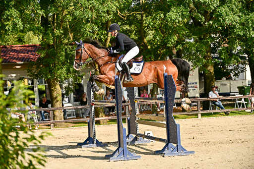 Show Jumping Event Stall Leichle in Schnarup | 15082025 Prf 9 Amateur M++_005 