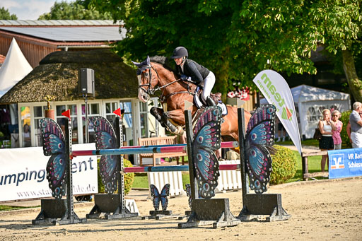 Show Jumping Event Stall Leichle in Schnarup | 15082025 Prf 9 Amateur M++_010 