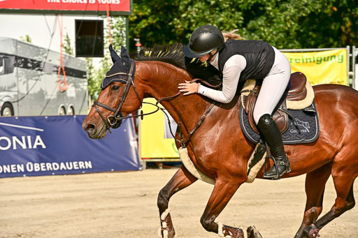 Show Jumping Event Stall Leichle in Schnarup | 15082025 Prf 9 Amateur M++_019 