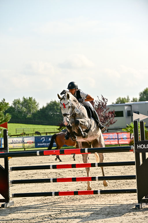 Show Jumping Event Stall Leichle in Schnarup | 15082025 Prf 9 Amateur M++_020 