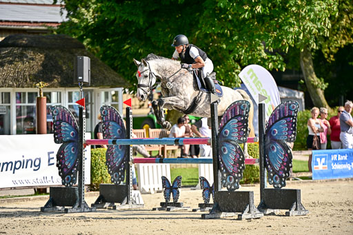 Show Jumping Event Stall Leichle in Schnarup | 15082025 Prf 9 Amateur M++_026 