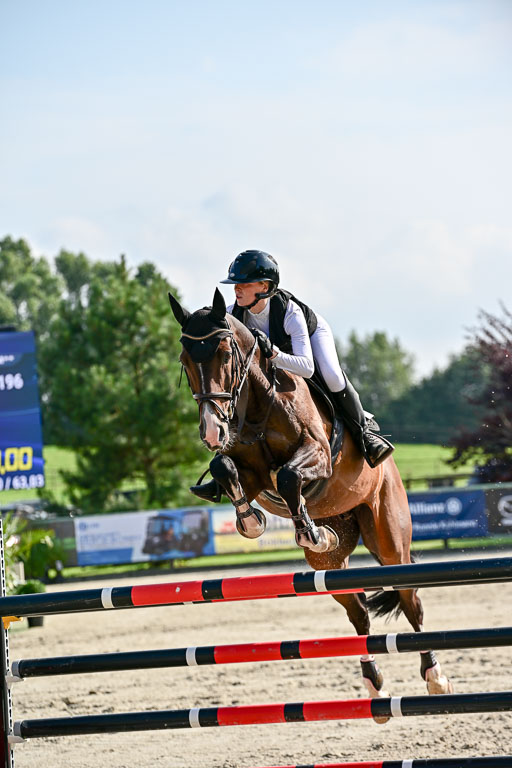 Show Jumping Event Stall Leichle in Schnarup | 15082025 Prf 9 Amateur M++_028 