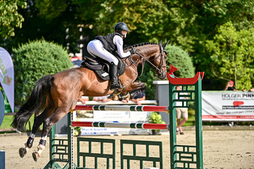 Show Jumping Event Stall Leichle in Schnarup | 15082025 Prf 9 Amateur M++_029 