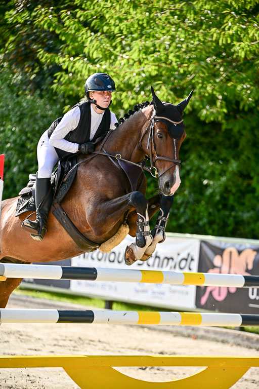 Show Jumping Event Stall Leichle in Schnarup | 15082025 Prf 9 Amateur M++_031 