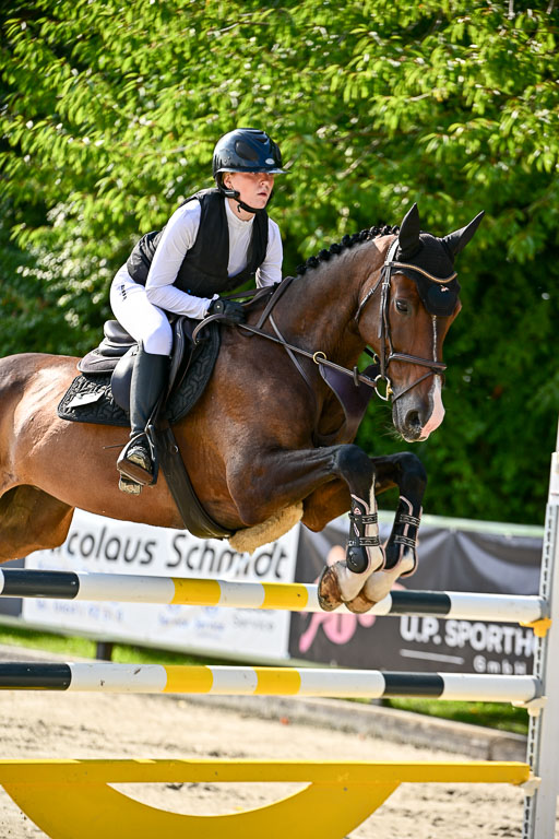 Show Jumping Event Stall Leichle in Schnarup | 15082025 Prf 9 Amateur M++_032 