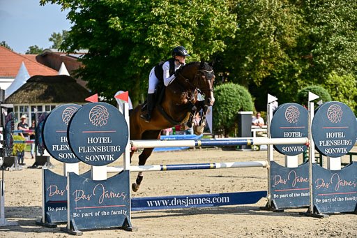 Show Jumping Event Stall Leichle in Schnarup | 15082025 Prf 9 Amateur M++_033 