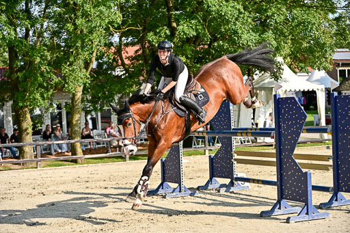 Show Jumping Event Stall Leichle in Schnarup | 15082025 Prf 9 Amateur M++_042 