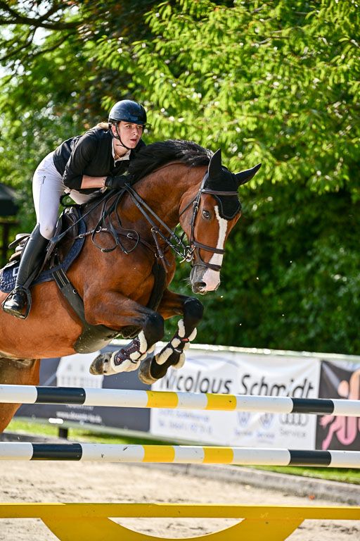 Show Jumping Event Stall Leichle in Schnarup | 15082025 Prf 9 Amateur M++_043 