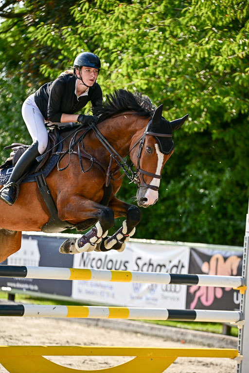 Show Jumping Event Stall Leichle in Schnarup | 15082025 Prf 9 Amateur M++_044 