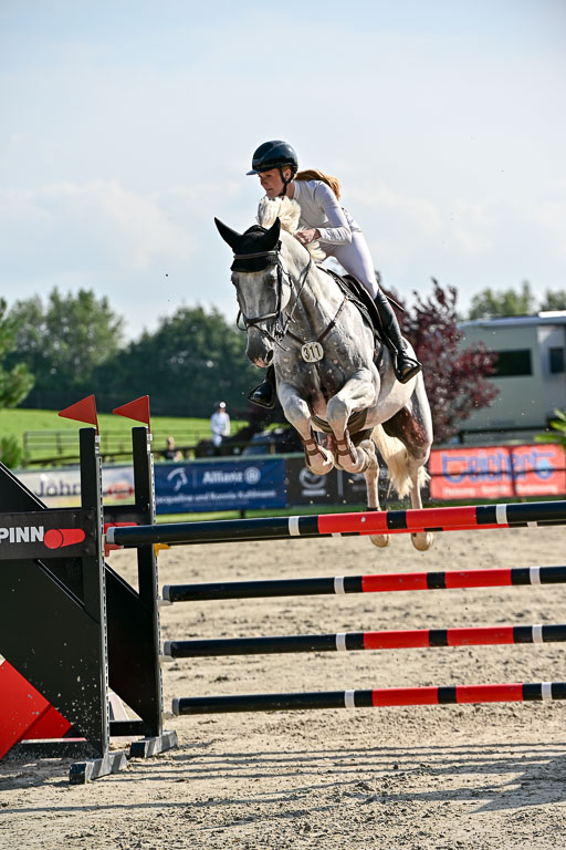 Show Jumping Event Stall Leichle in Schnarup | 15082025 Prf 9 Amateur M++_049 