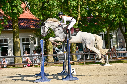 Show Jumping Event Stall Leichle in Schnarup | 15082025 Prf 9 Amateur M++_050 