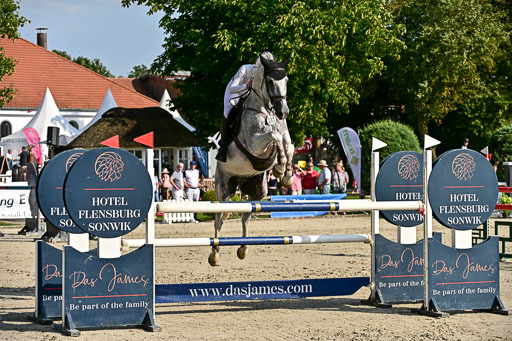 Show Jumping Event Stall Leichle in Schnarup | 15082025 Prf 9 Amateur M++_051 