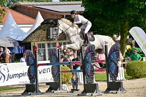 Show Jumping Event Stall Leichle in Schnarup | 15082025 Prf 9 Amateur M++_055 