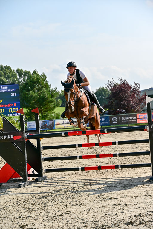 Show Jumping Event Stall Leichle in Schnarup | 15082025 Prf 9 Amateur M++_056 