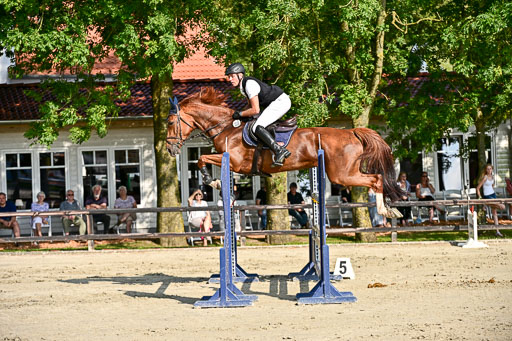 Show Jumping Event Stall Leichle in Schnarup | 15082025 Prf 9 Amateur M++_059 