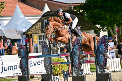 Show Jumping Event Stall Leichle in Schnarup | 15082025 Prf 9 Amateur M++_062 